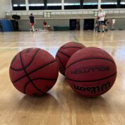 New website and domain for International Basketball Academy