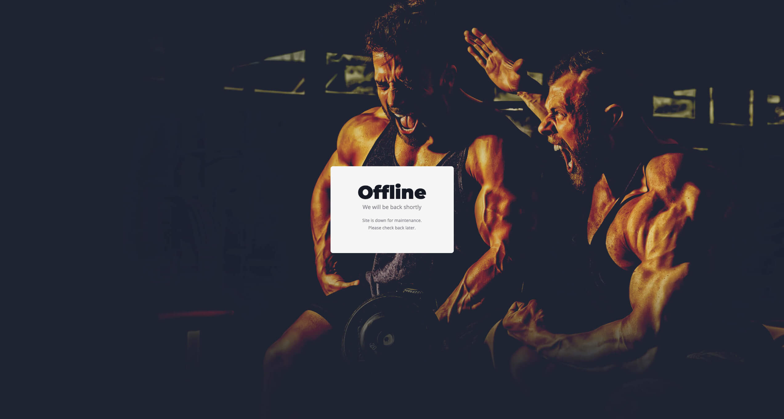 Coming Soon / Offline Page